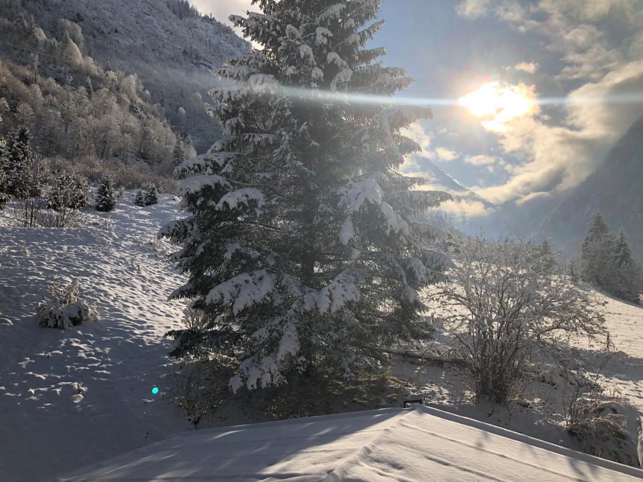 Hotel Kuenstleralm Kaprun Εξωτερικό φωτογραφία